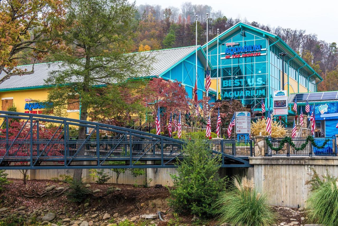 Villa Huckleberry Ridge Pigeon Forge Exterior foto